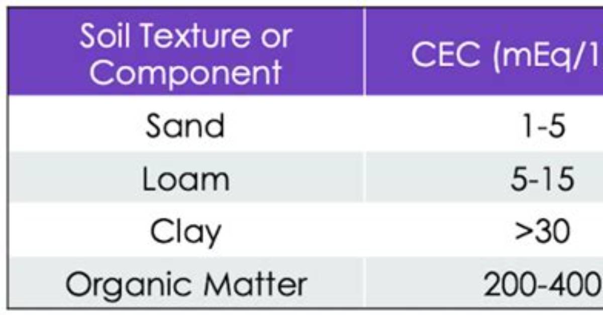 What Is a High Cec Value?