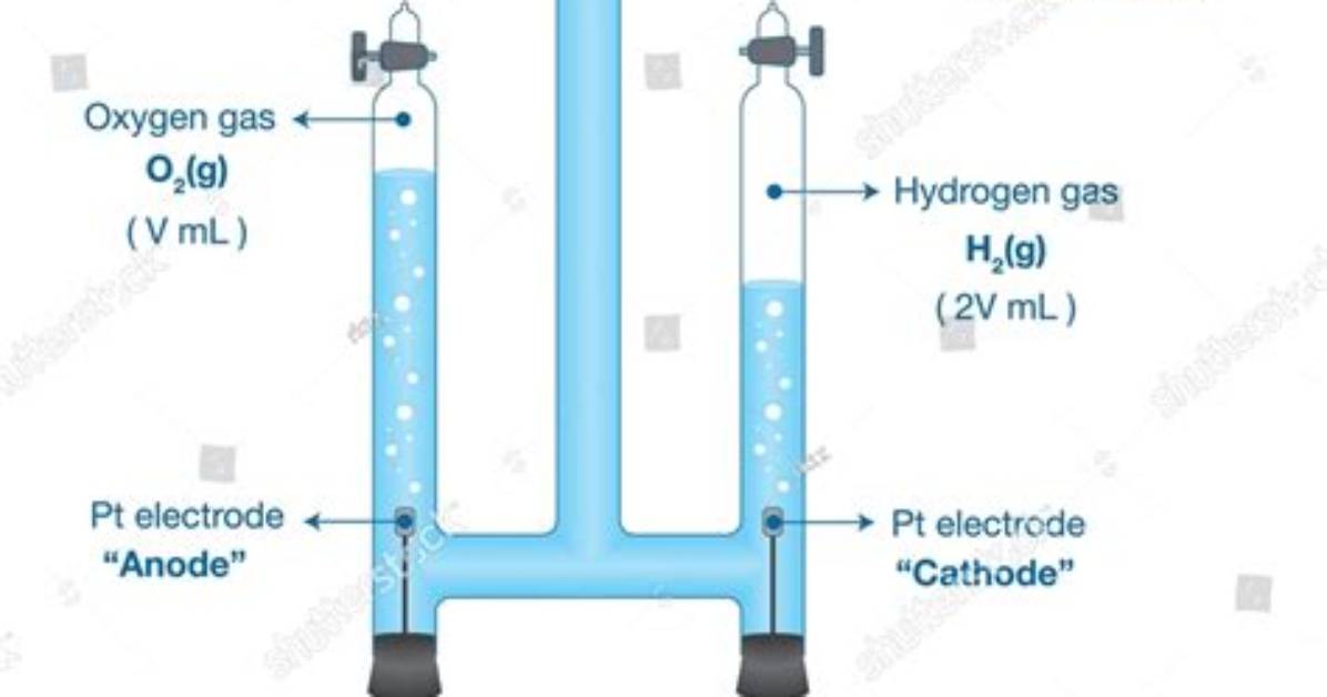 What Is a Hofmann Voltameter?
