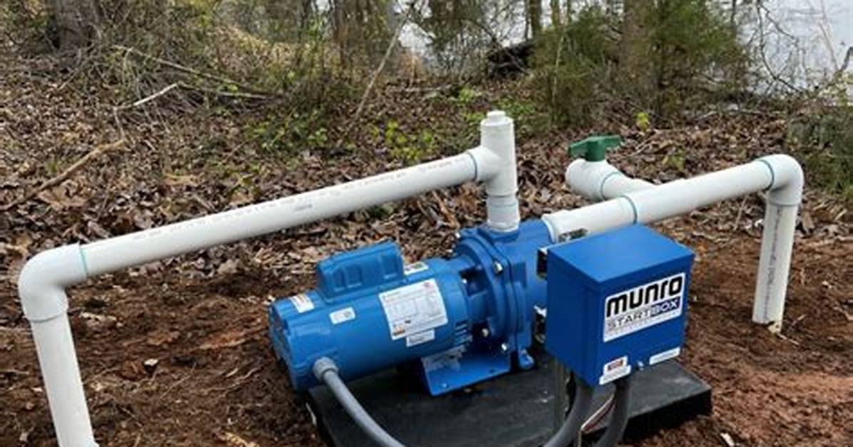 What Is a Lake Pump