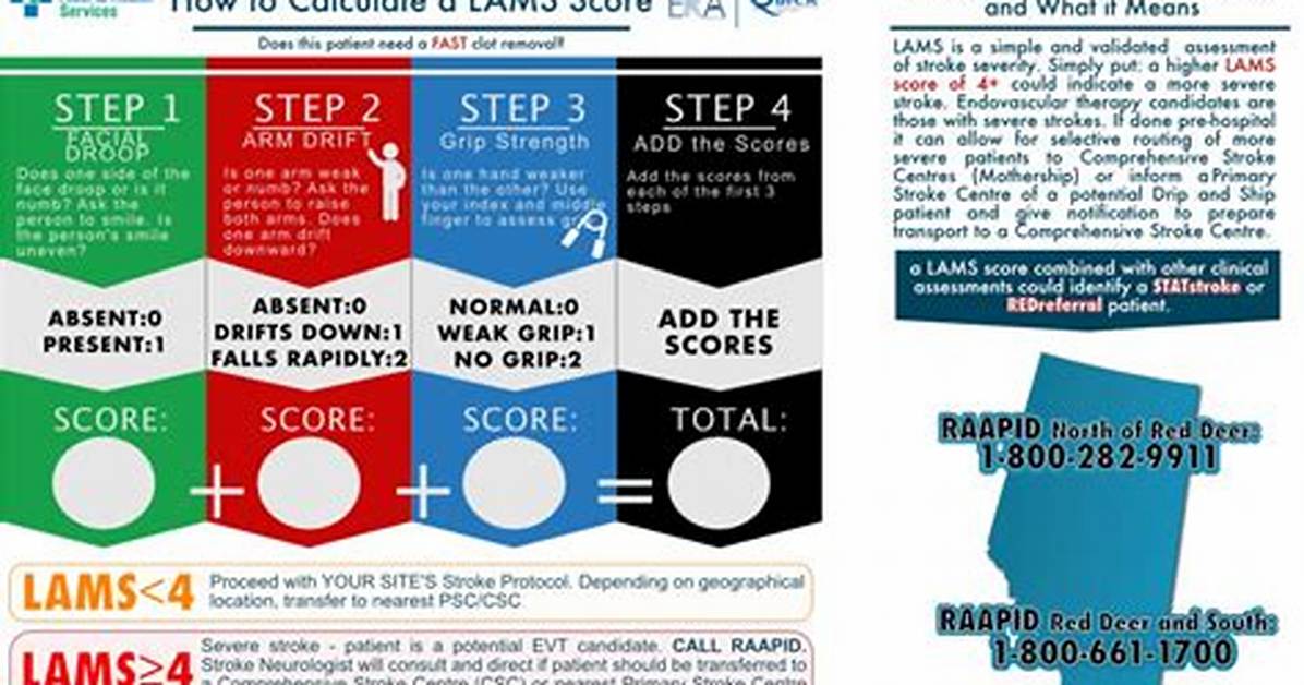 What Is a Lams Score