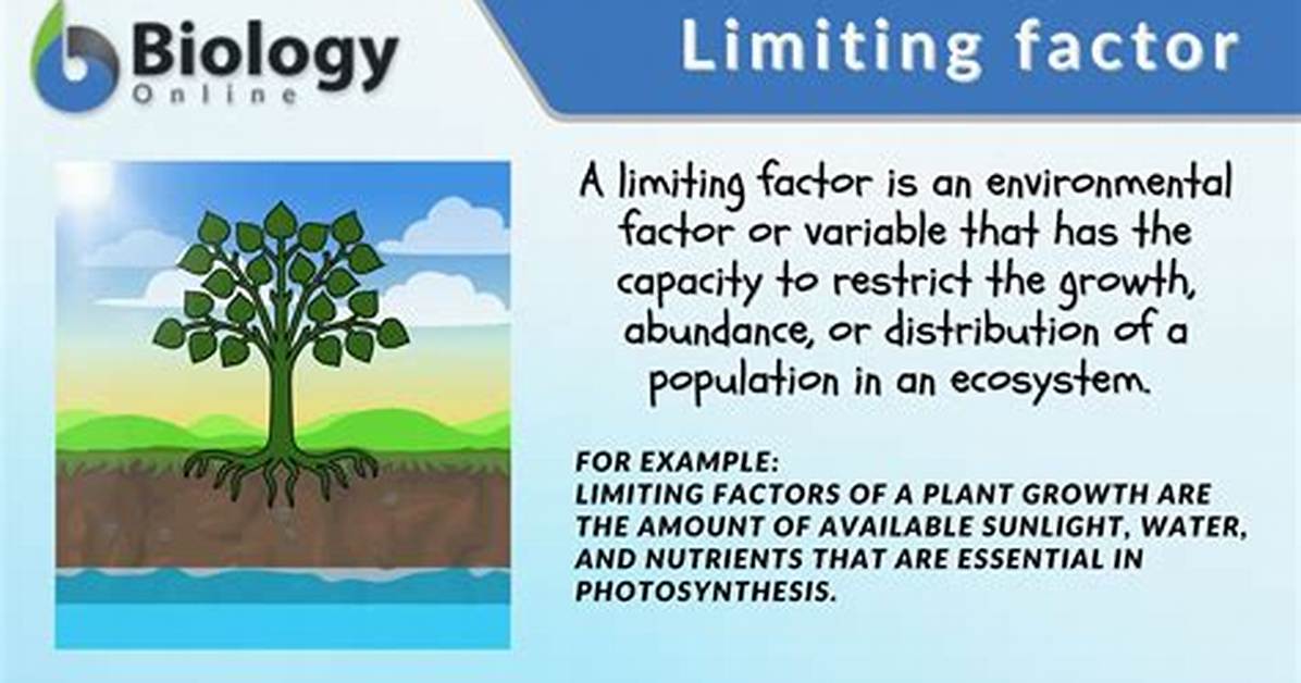 What Is a Limiting Factor in Ecology