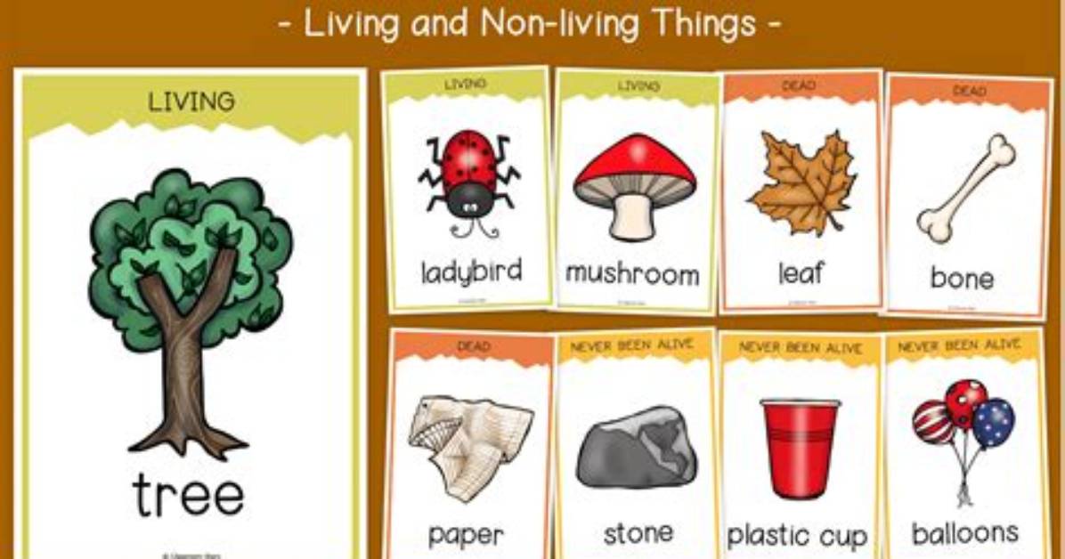 What Is a Living Thing in Science?