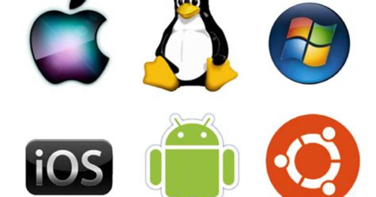 What Is a Local Operating System?