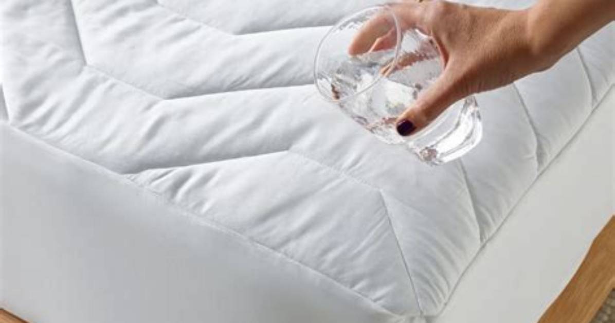 What Is a Mattress Protector?