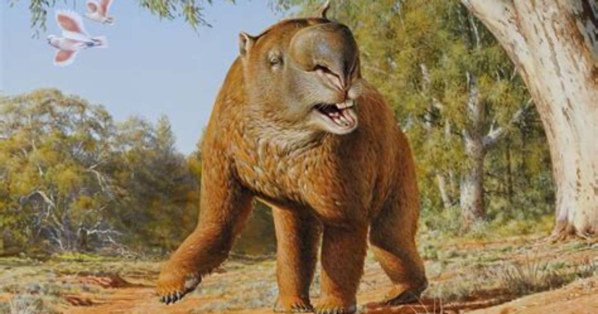 What Is a Megafauna - Lisbd-Net. Com