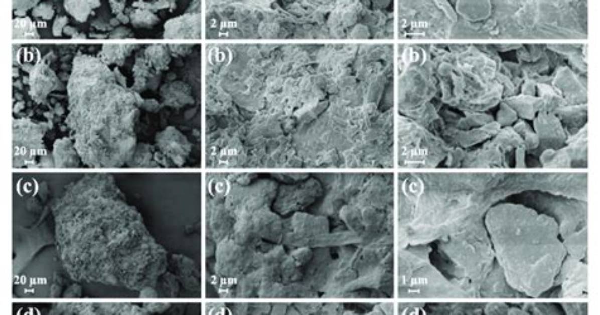 What Is a Microaggregates?