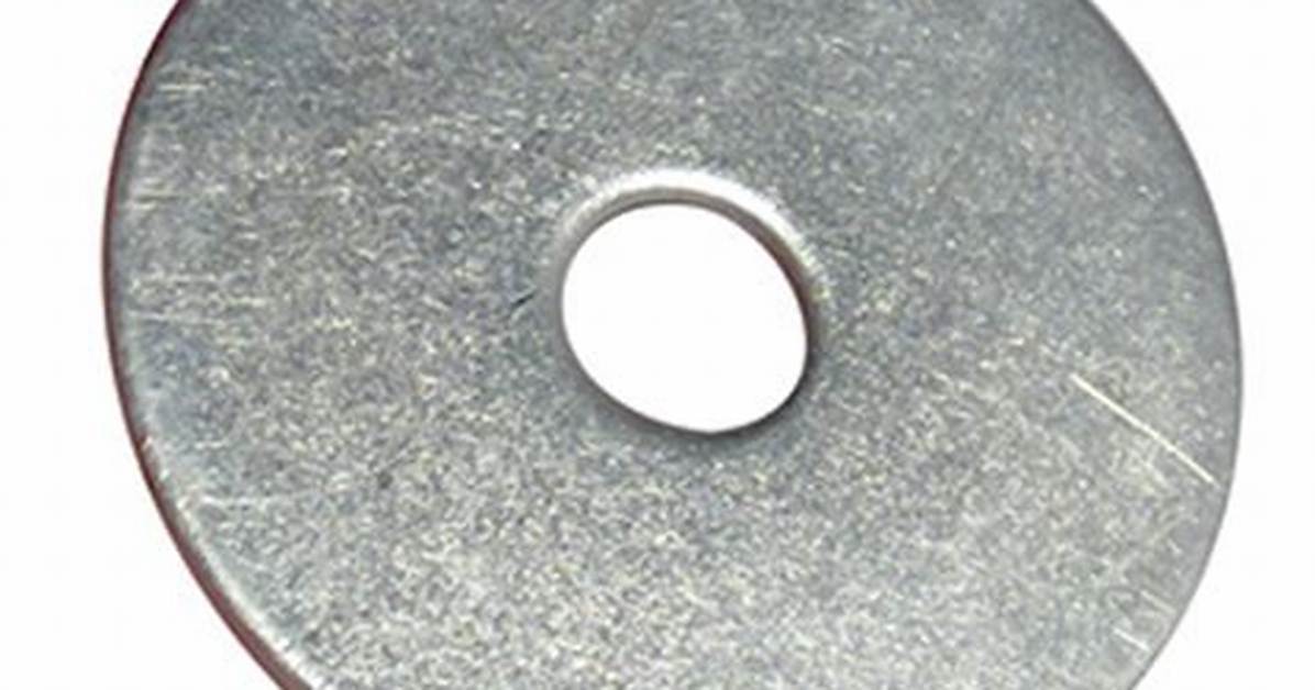What Is a Mudguard Washer?