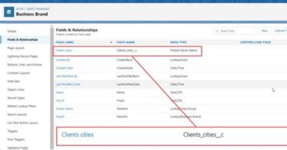 What Is a Multi Select Picklist in Salesforce