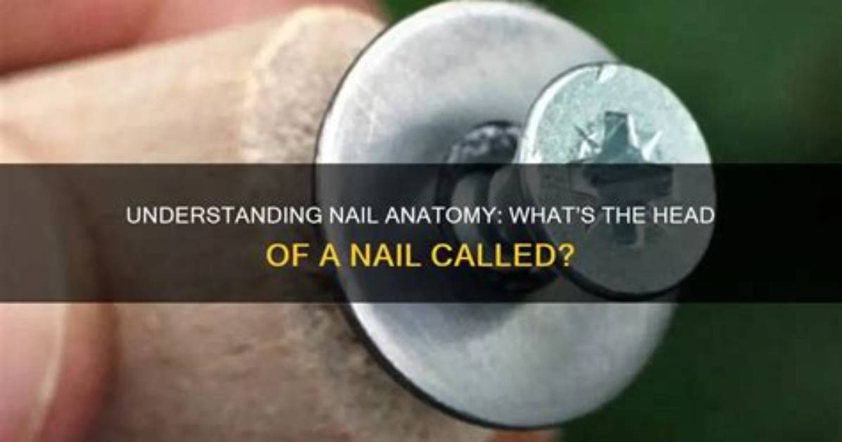 What Is a Nail Head Called