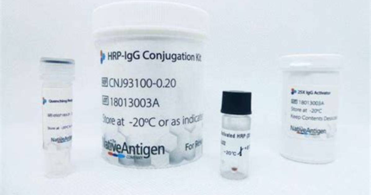 What Is a Native Antigen