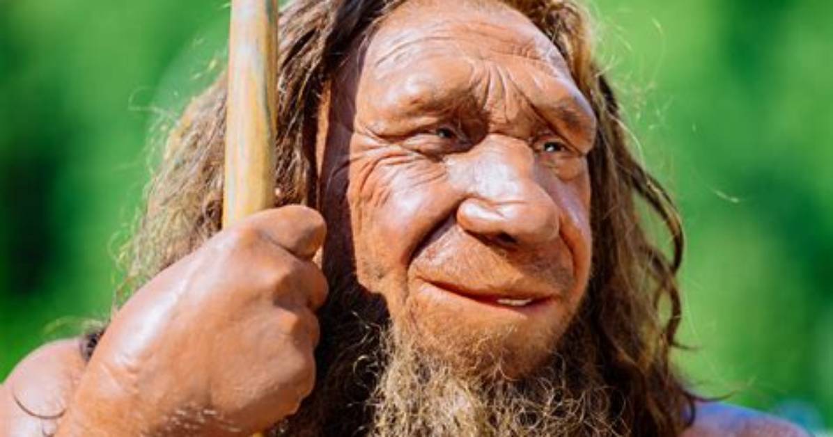 What Is a Neanderthals?