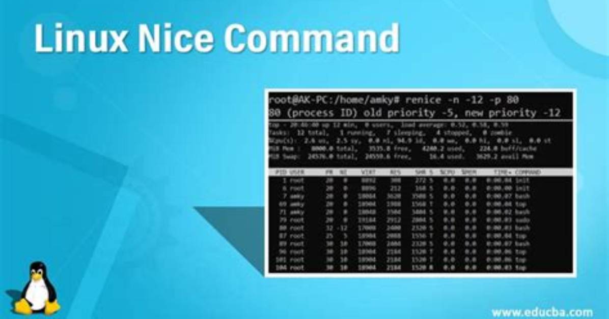 What Is a Nice Value in Linux?