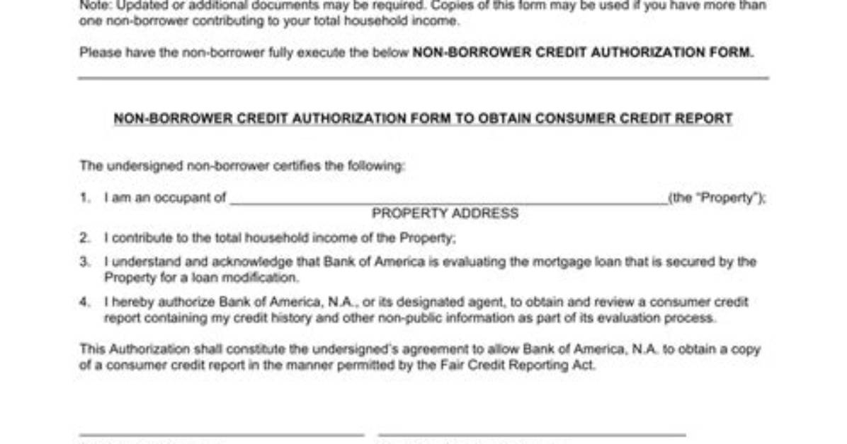What Is a Non Borrower