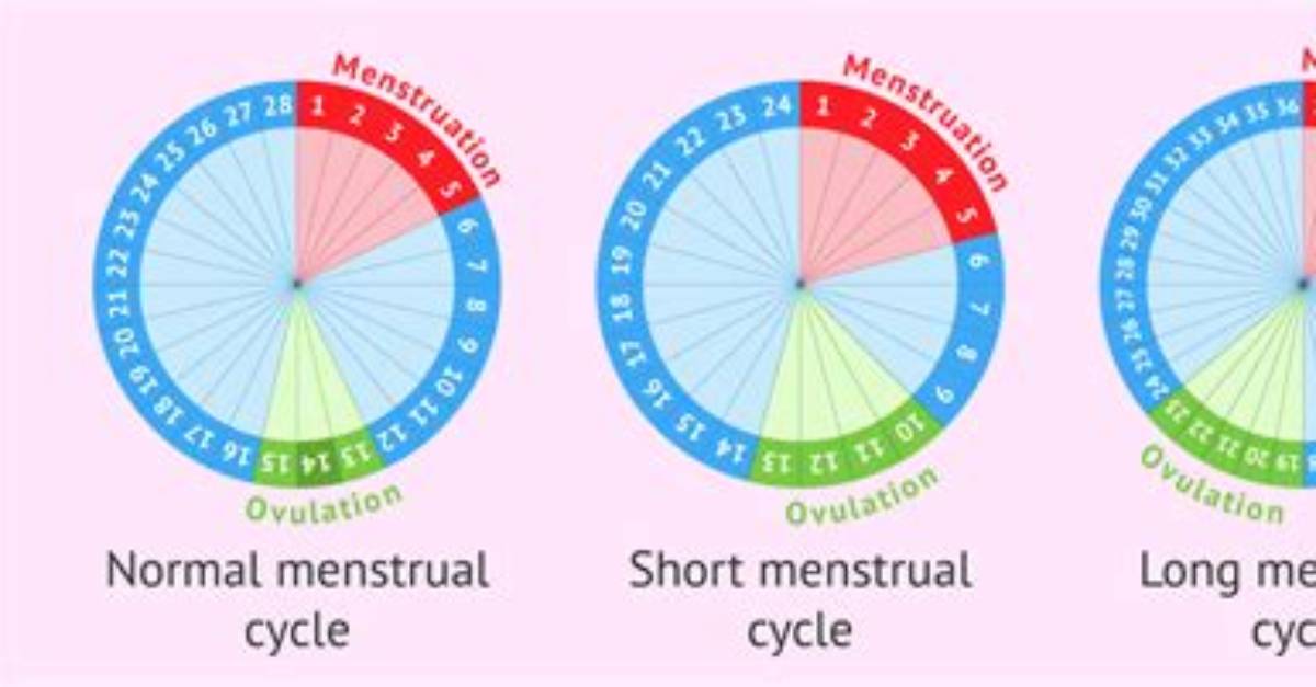 What Is a Normal Day Cycle