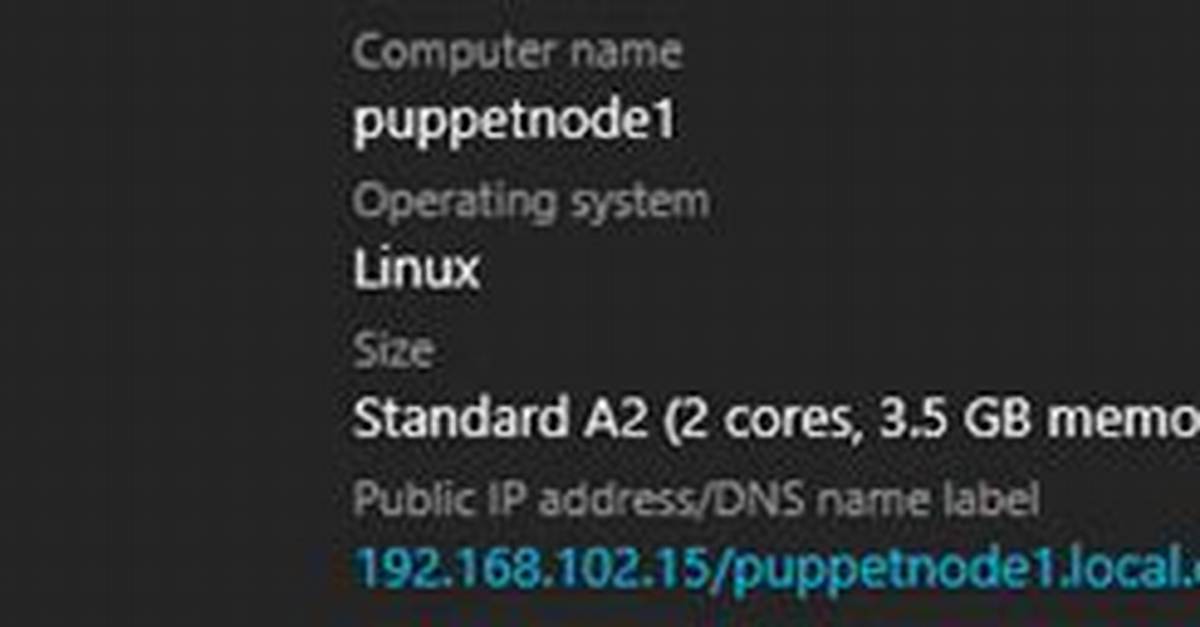 What Is a Puppet Node