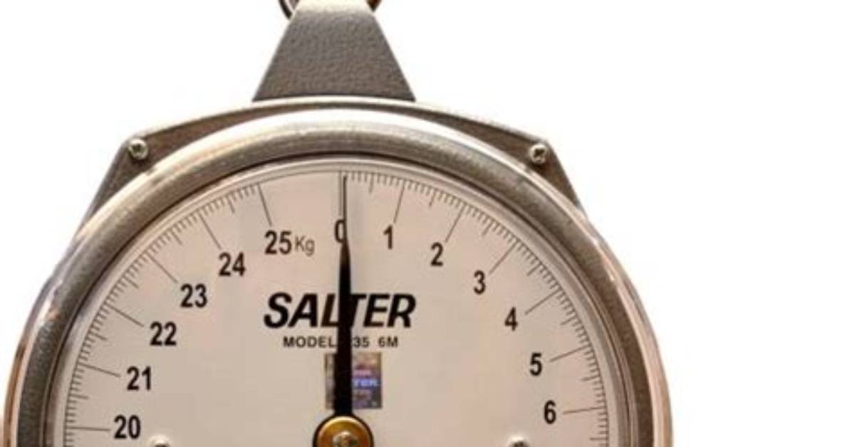 What Is a Salter Scale