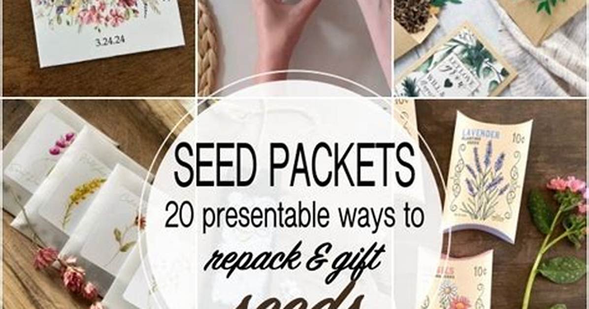 What Is a Seed Packet