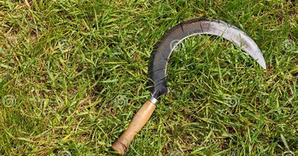 What Is a Sickle Tool?