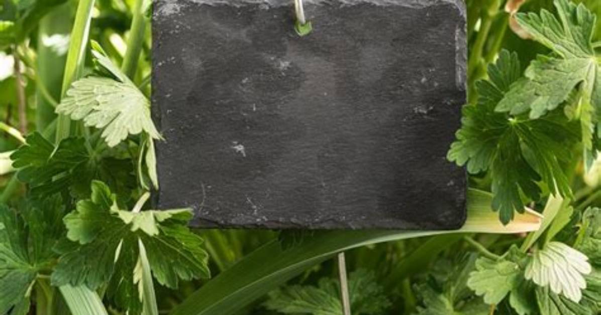 What Is a Slate Label