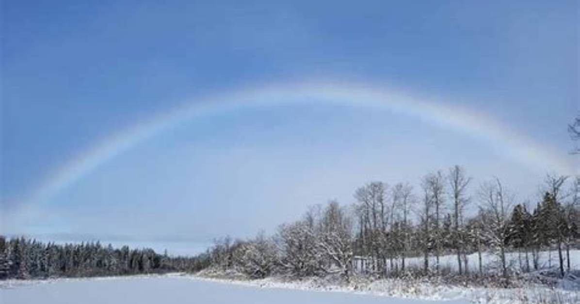 What Is a Snowbow?