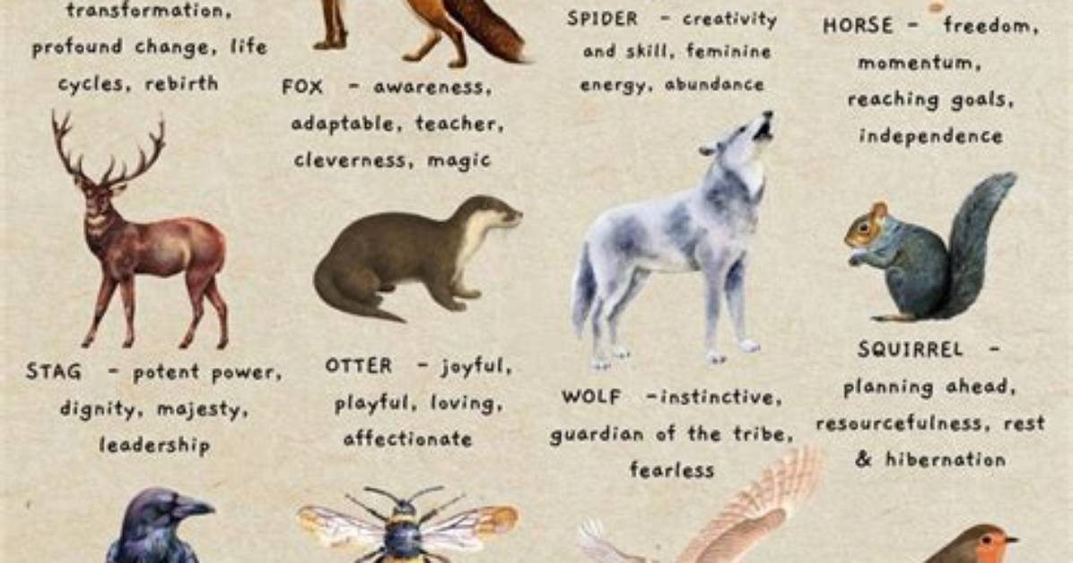 What Is a Spirit Animal?