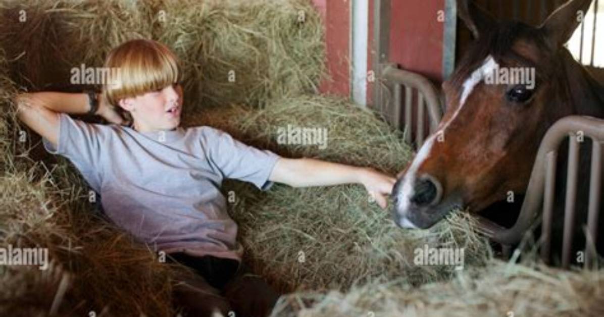 What Is a Stable Boy?