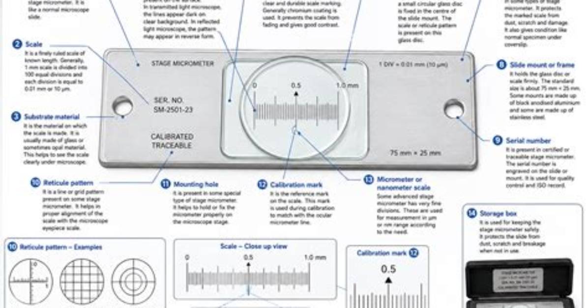 What Is a Stage Micrometer