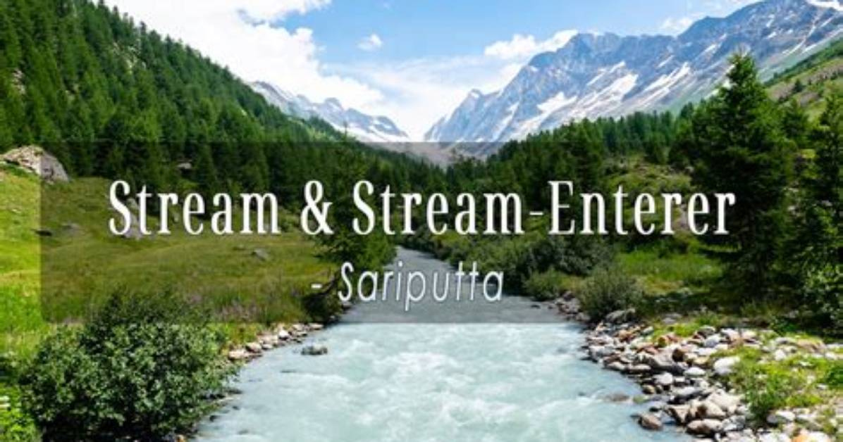 What Is a Stream Enterer?