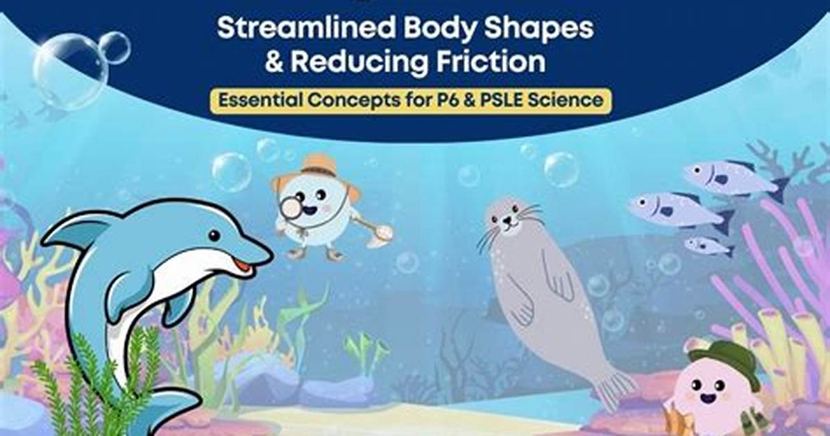 What Is a Streamlined Body?