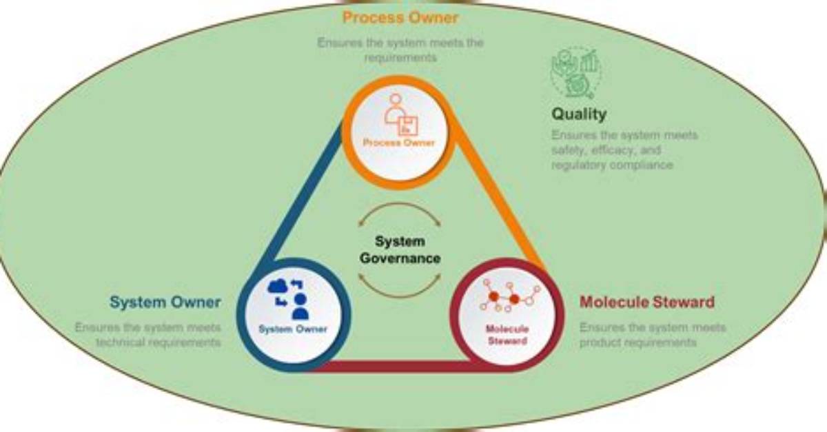 What Is a System Owner