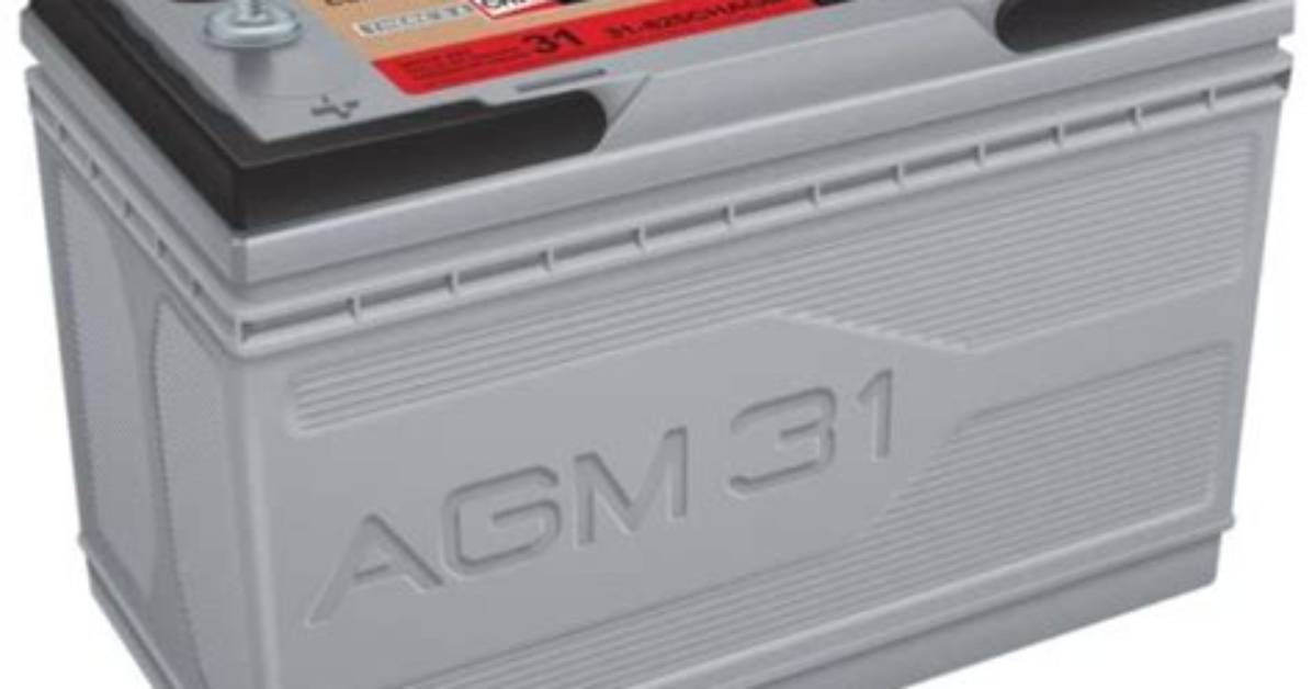 What Is a Type 31 Battery