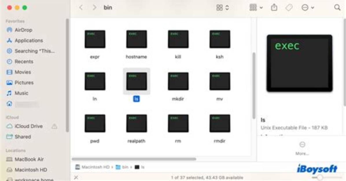 What Is a Unix Executable?