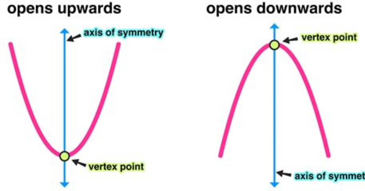 What Is a Vertex Example?