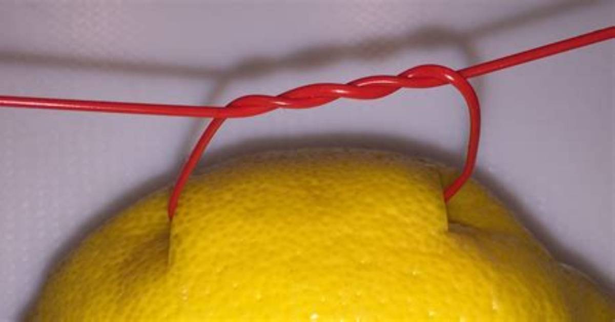 What Is a Vessel Loop Drain