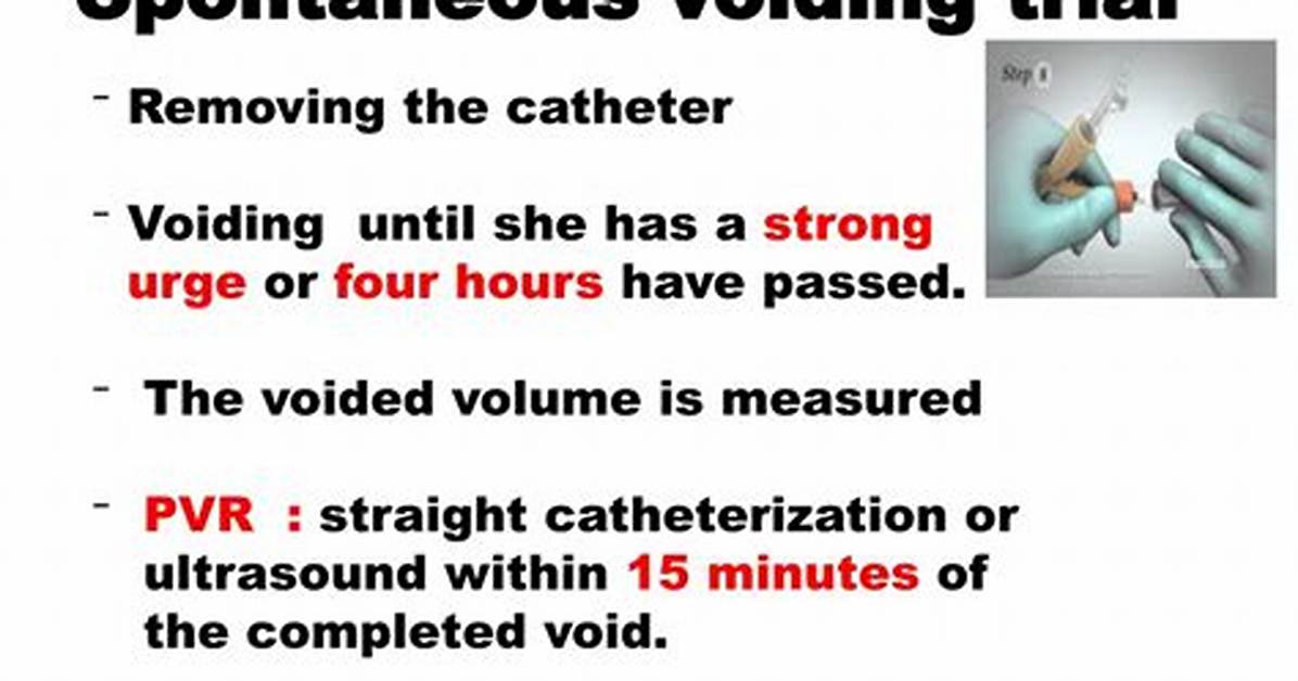 What Is a Voiding Trial