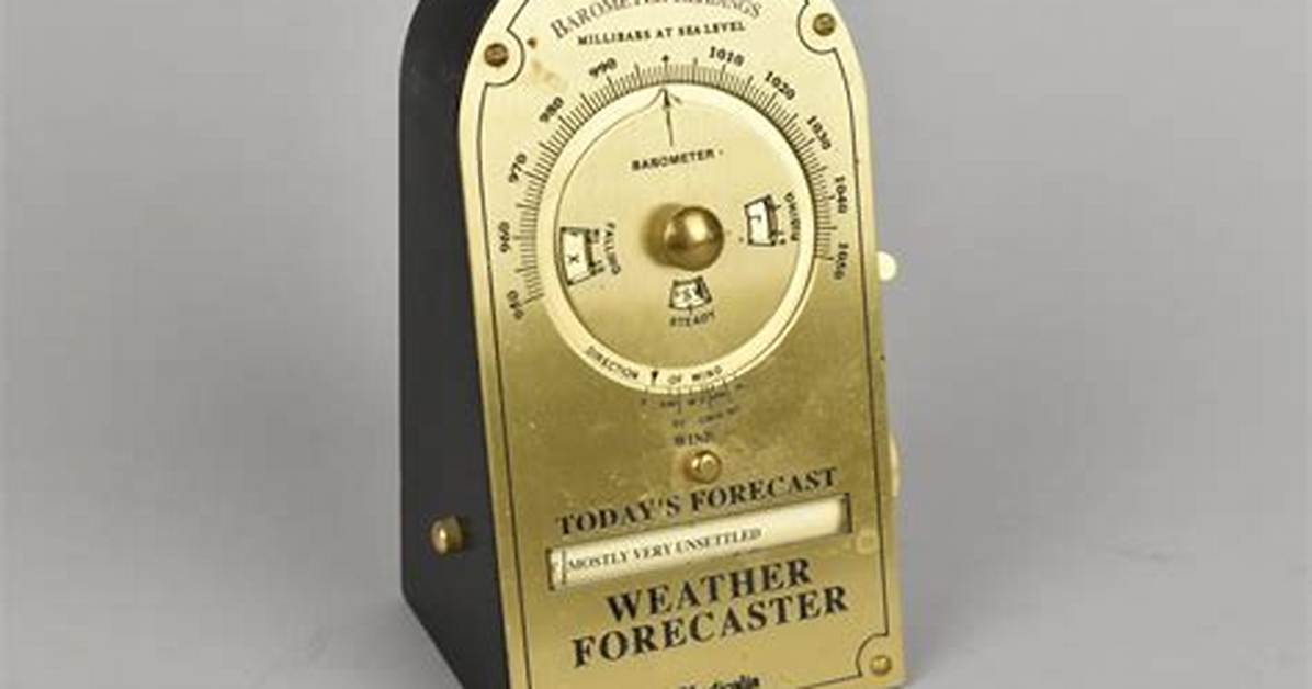 What Is a Weather Forecaster Called
