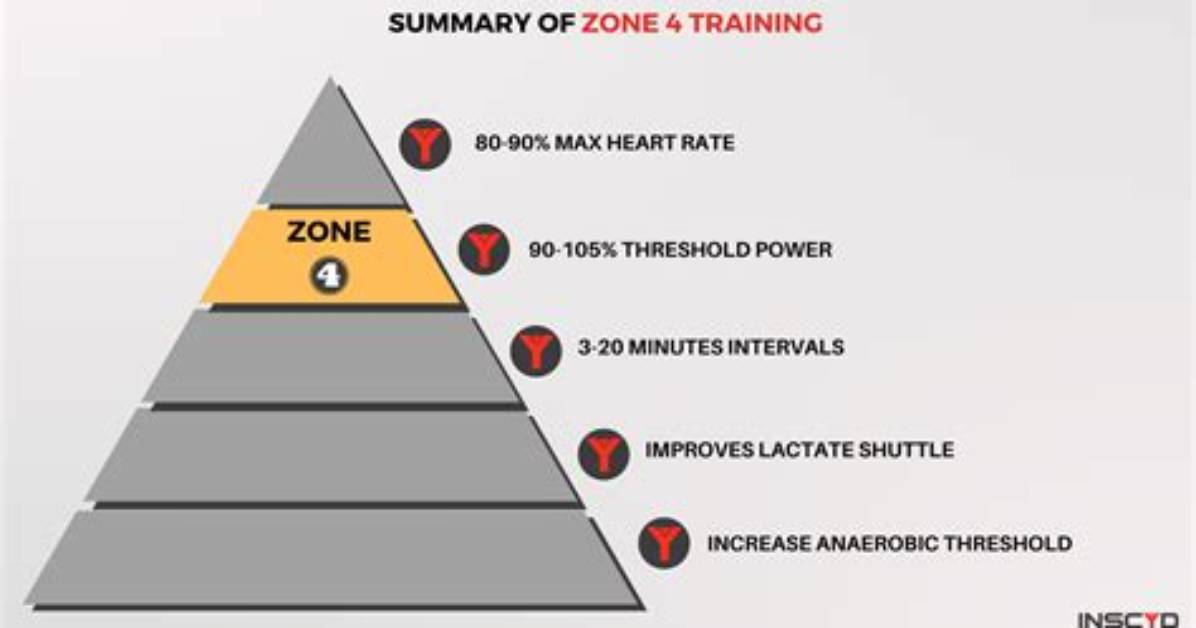 What Is a Zone 4