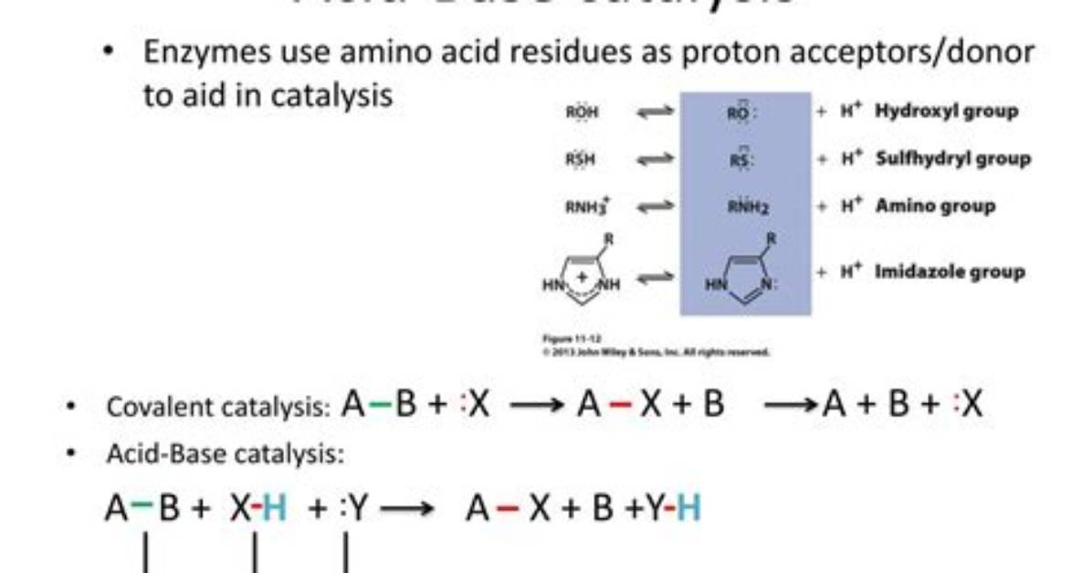 What Is Acid Base Catalysis?