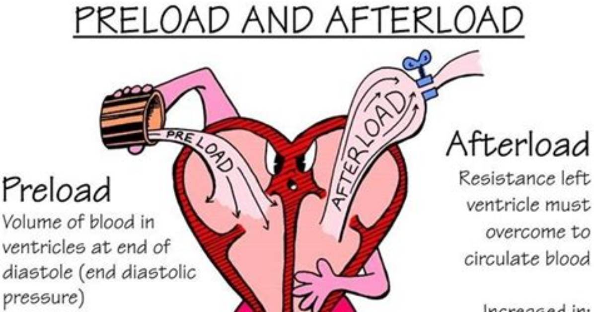 What Is Afterload Pressure