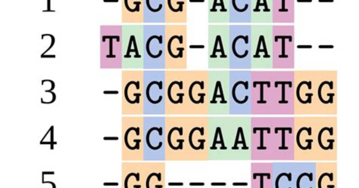 What Is Aligning Dna