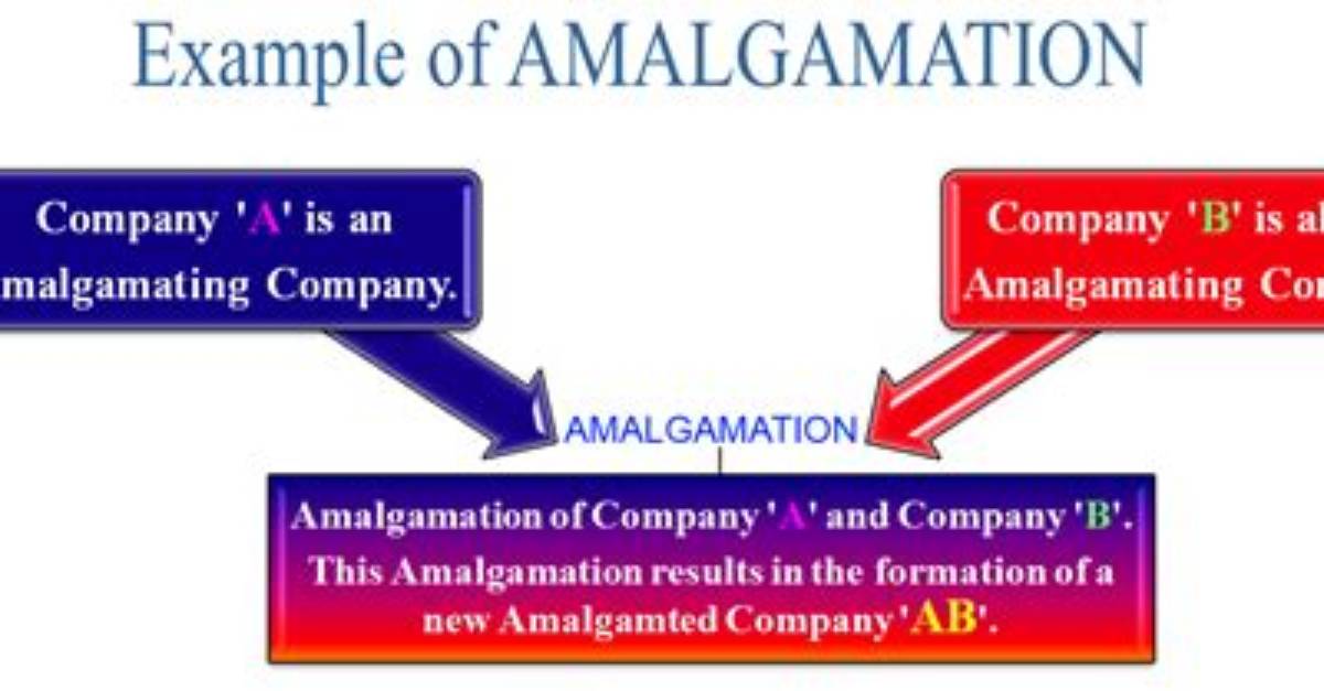 What Is Amalgamation with Example?