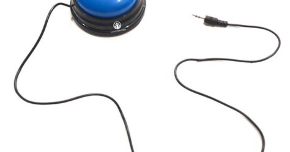 What Is an Adapted Switch