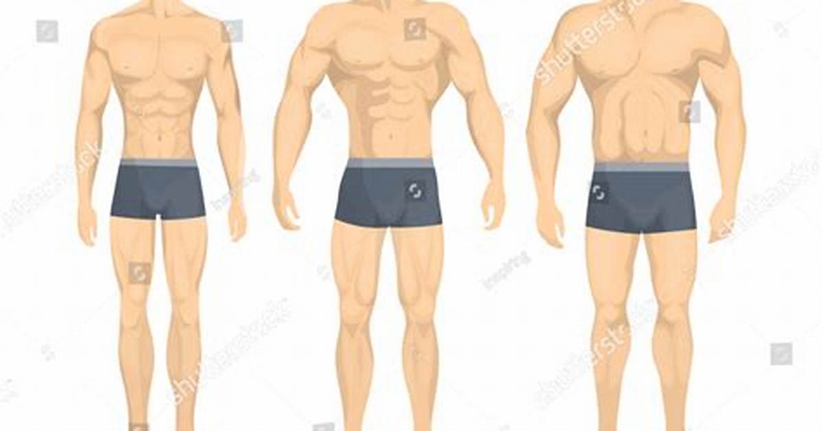 What Is an Ecto Endomorph?