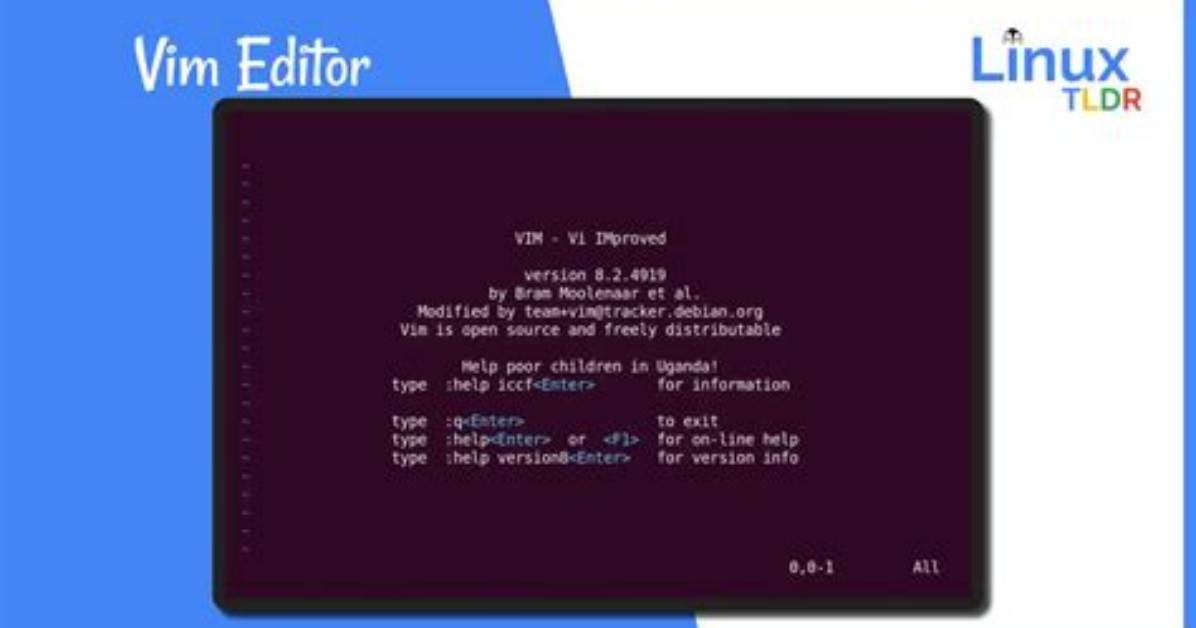 What Is an Editor in Linux?