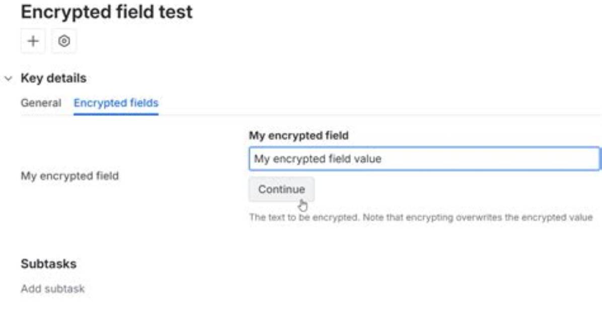 What Is an Encrypted Field