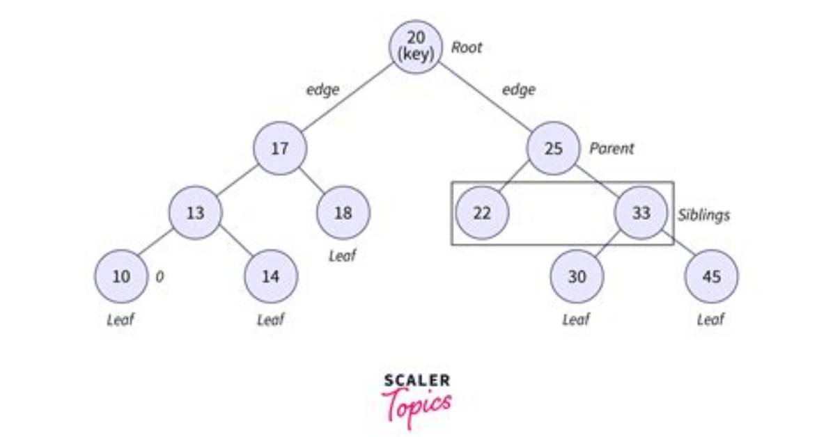 What Is an "Internal Node" in a Binary Search Tree?