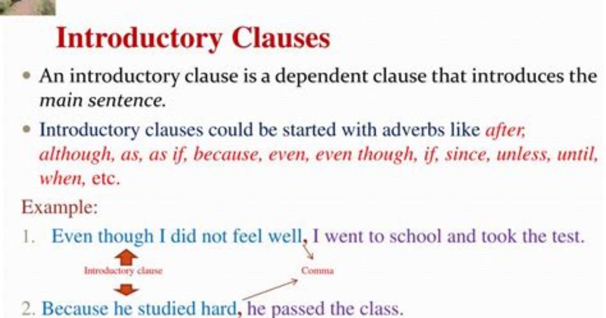 What Is an Introductory Clause