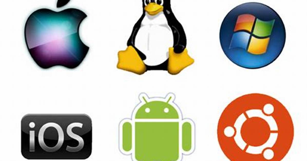 What Is an Operating System?
