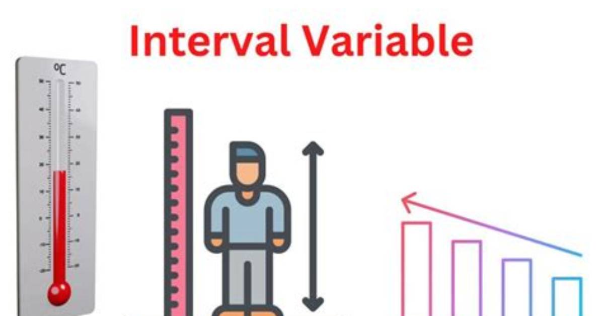 What Is an Variable