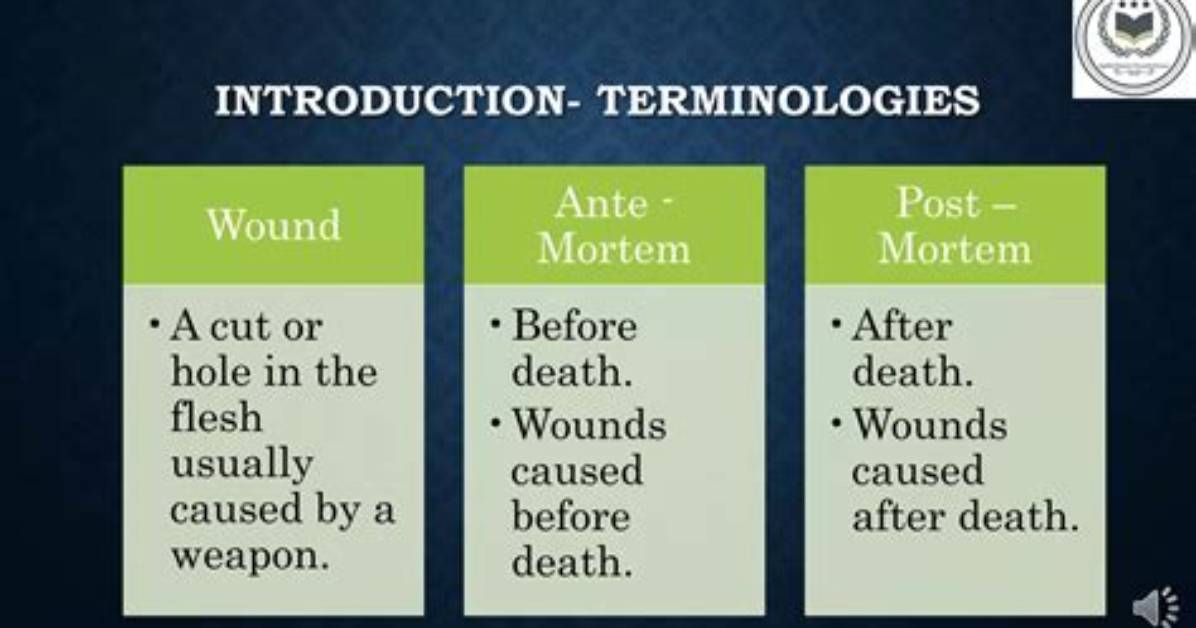 What Is Ante Mortem and Post Mortem